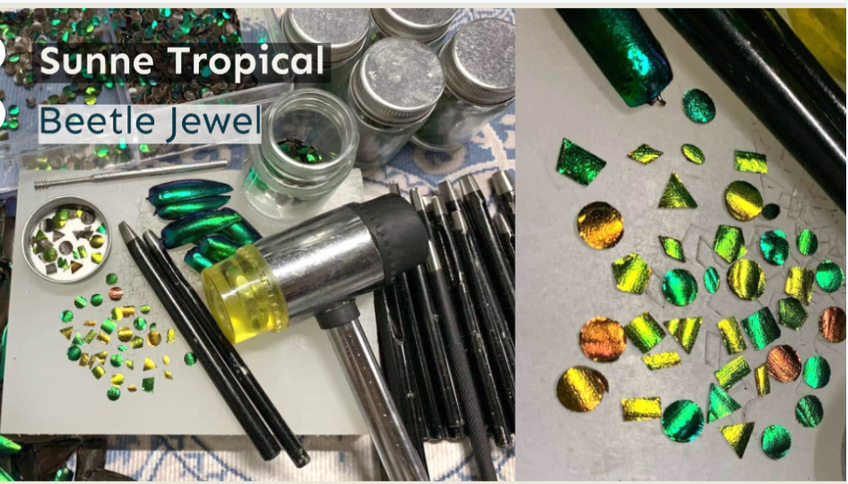 Jewel Beetles Wings UNDRILLED NO-HOLE 100 Pcs for Art & Craft (Tile Point 1 X 2 CM)