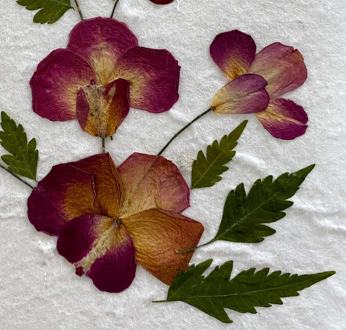 Sunne Tropical 3 Cards Random Pack Handmade Mulberry Paper Greeting Card 5x7 Inch Real Pressed Flowers - Rose Petal