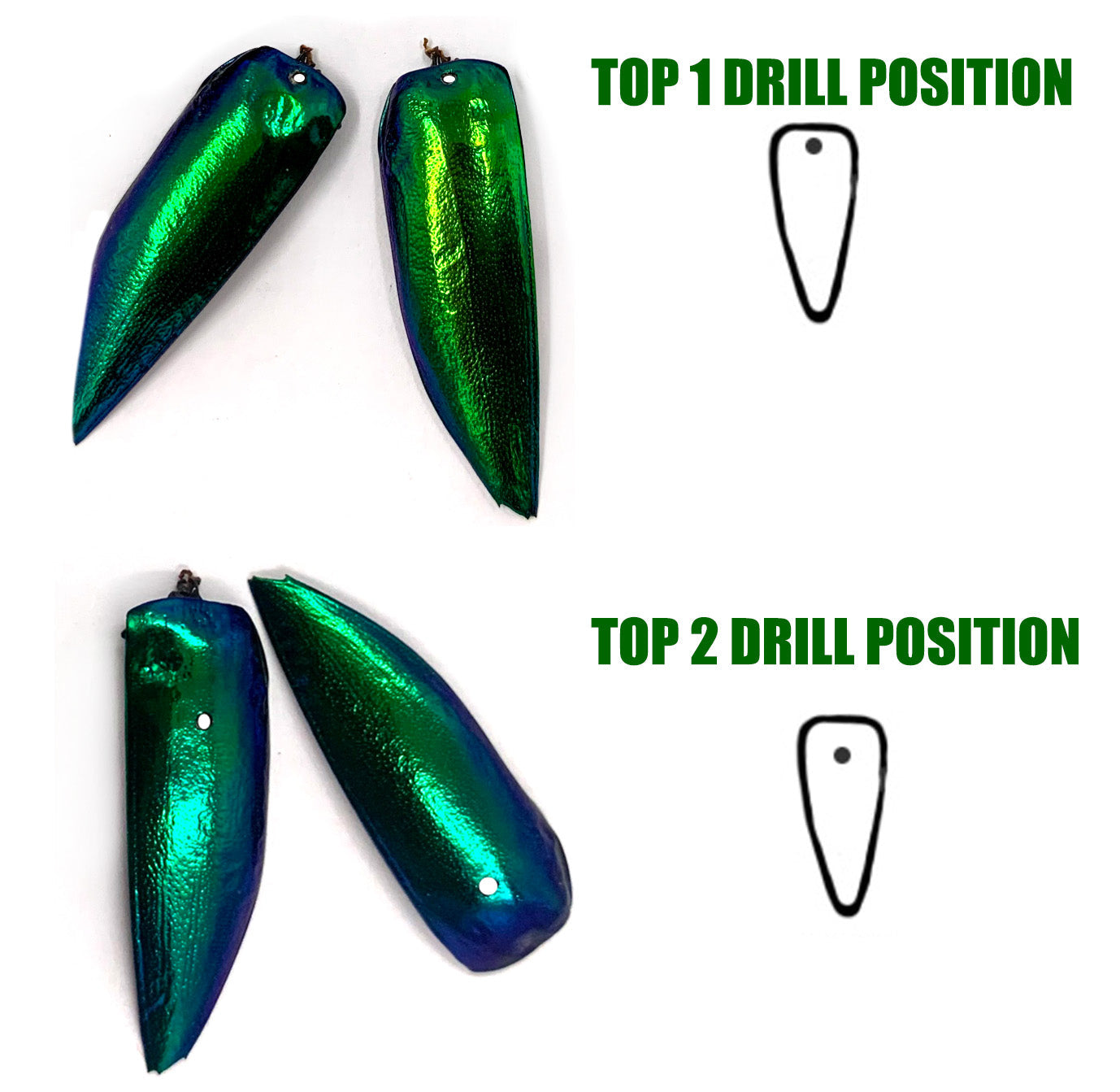 Jewel Beetle Wings DRILL with HOLE 100 Pcs Natural Wings - Green TOP 1