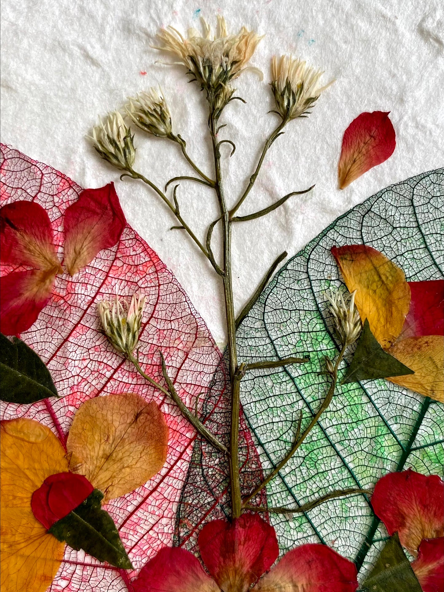 Handmade Mulberry Paper Greeting Card  5x7 Inch Random Pack (3 Bodhi Leaf)